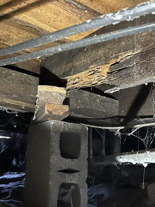 Yadkin Valley Pest Services Picture 10