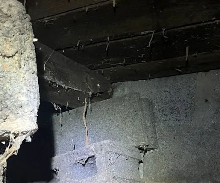 Yadkin Valley Pest Services