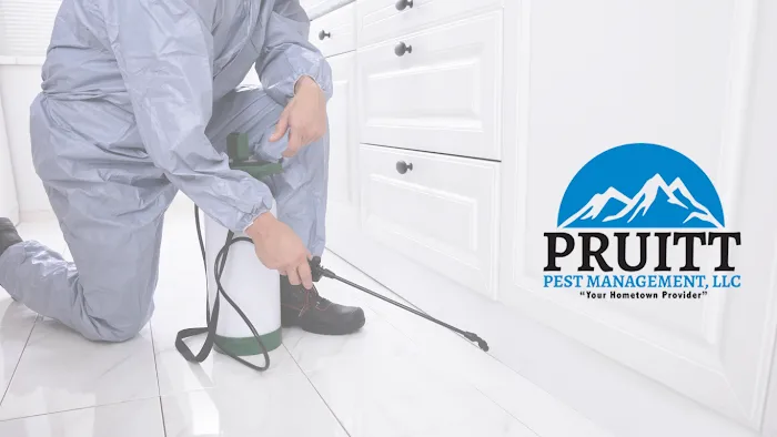 Pruitt Pest Management, LLC Picture 2