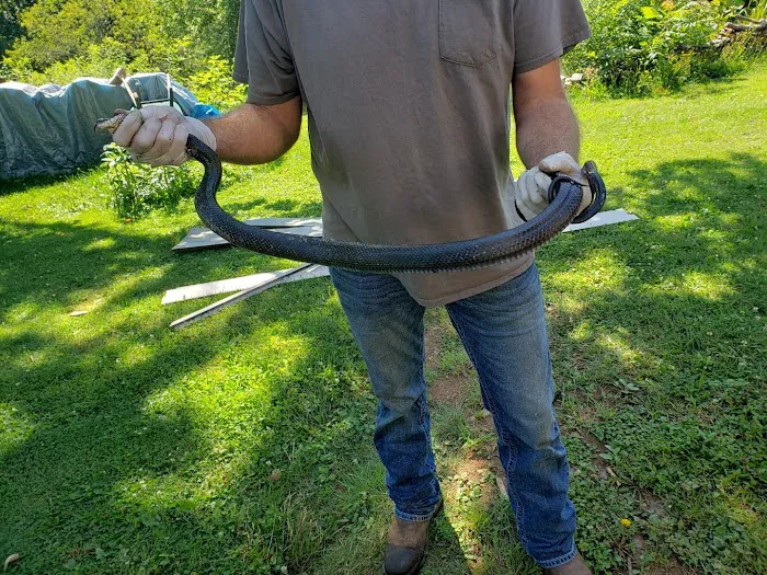 Lyons Wildlife Control & Removal Picture 1