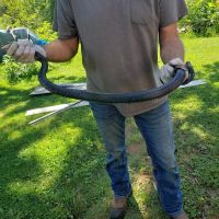 Lyons Wildlife Control & Removal ico