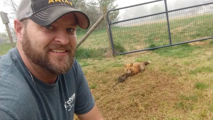 Lyons Wildlife Control & Removal Picture 6