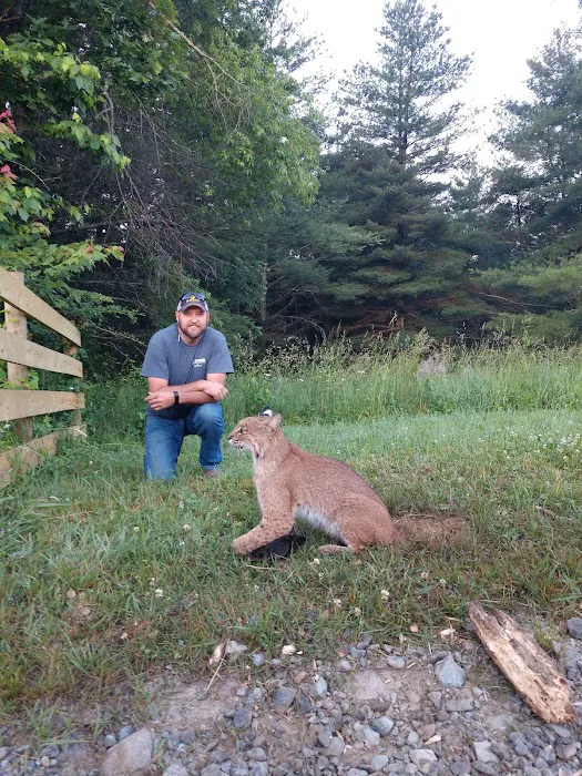 Lyons Wildlife Control & Removal Picture 2
