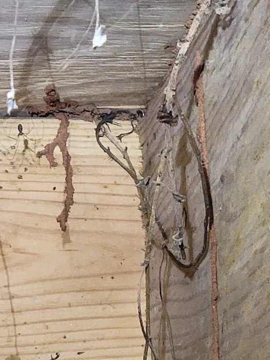 A Better Way Pest Control Picture 1