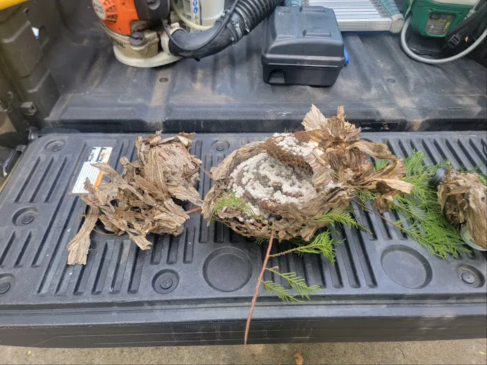 A Better Way Pest Control Picture 5