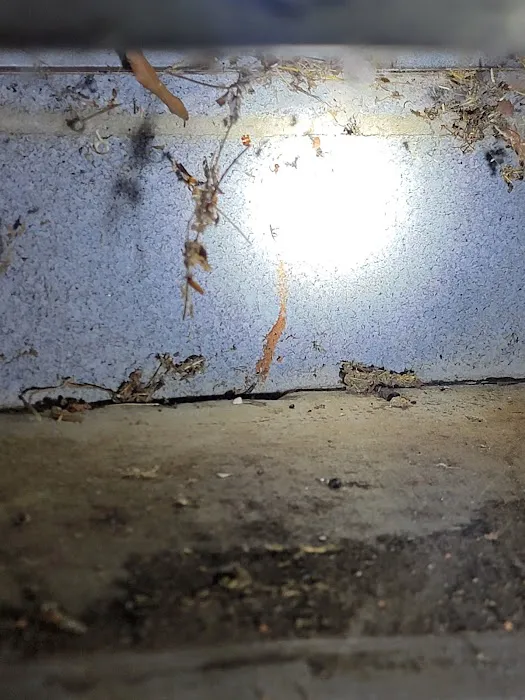 A Better Way Pest Control Picture 7