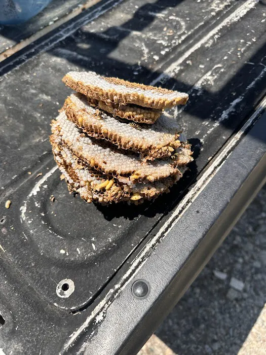 A Better Way Pest Control Picture 9
