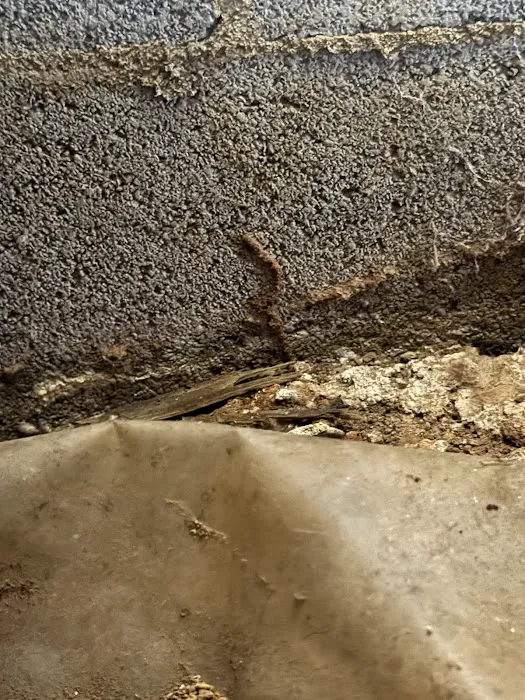 A Better Way Pest Control Picture 10