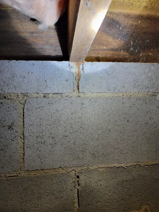 A Better Way Pest Control Picture 8