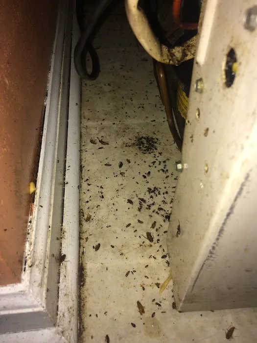 Old River Pest Management LLC Picture 7