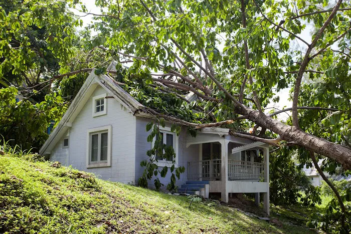 Accelerated Mitigation Picture 3