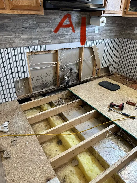 Accelerated Mitigation Picture 6