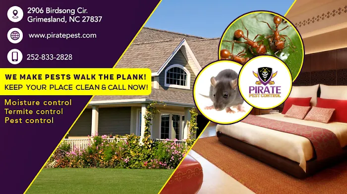 Pirate Pest Control LLC. Picture 4