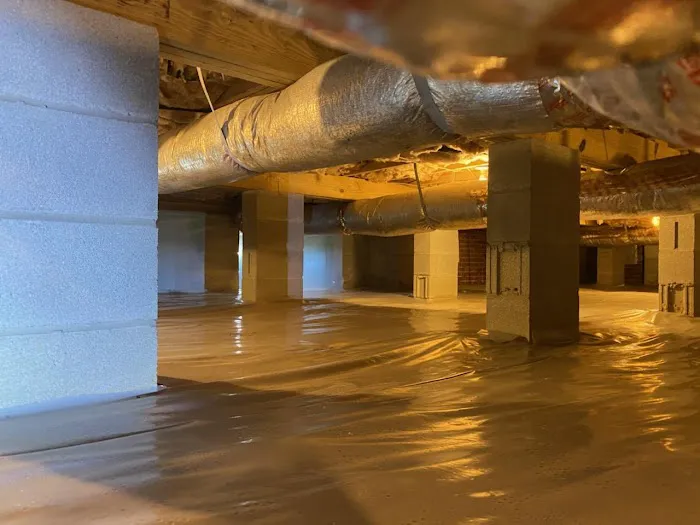 Precision Pest & Termite Inc. Picture 1