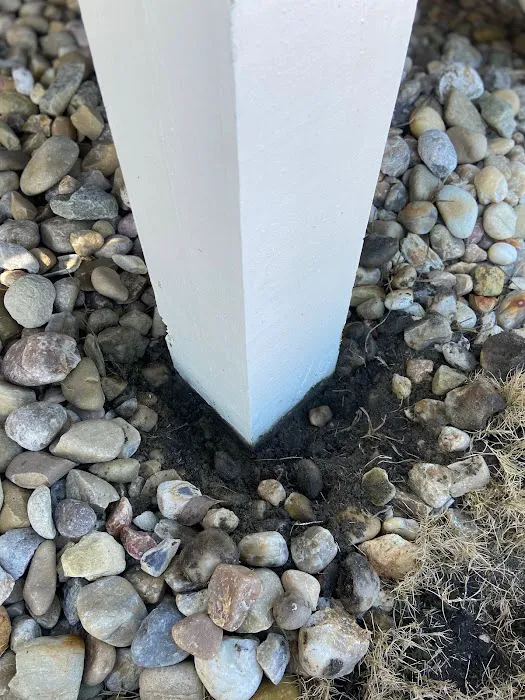 Precision Pest & Termite Inc. Picture 5