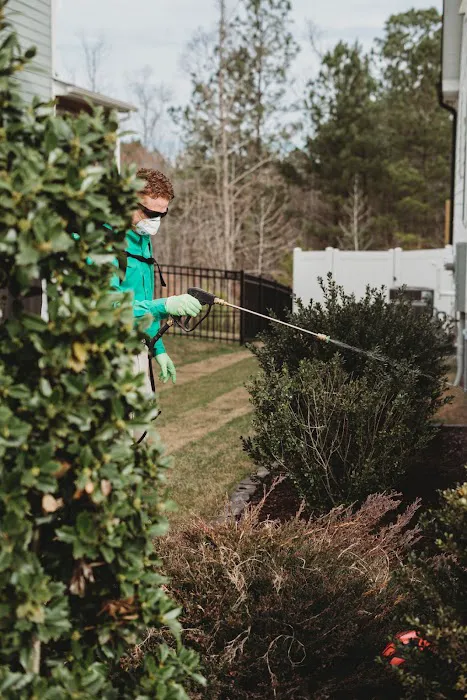 Holly Springs Pest Control Picture 1
