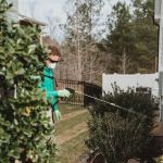 Holly Springs Pest Control