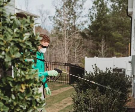 Holly Springs Pest Control