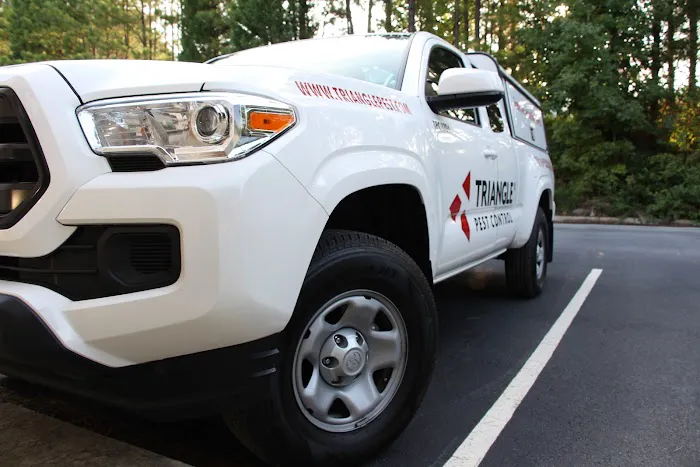 Triangle Pest Control Picture 10