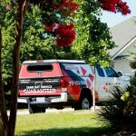 Triangle Pest Control