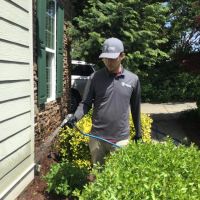 ClearDefense Pest Control ico