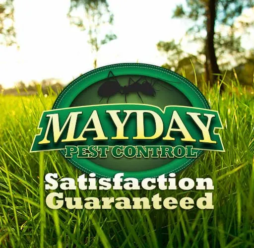 Mayday Pest Control Picture 1