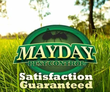 Mayday Pest Control