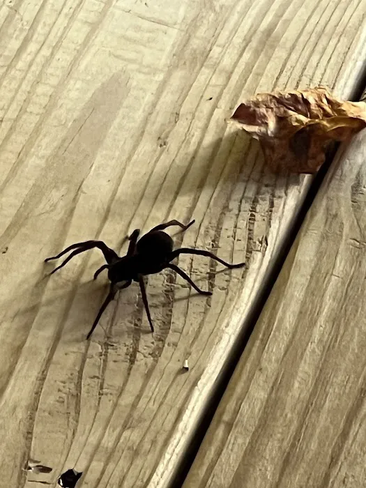 Modern Exterminating Picture 2