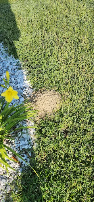 Solve Pest Pros Picture 3