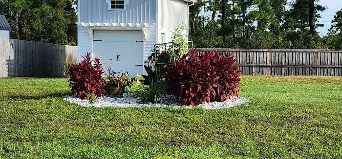 Solve Pest Pros Picture 7