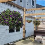 Solve Pest Pros