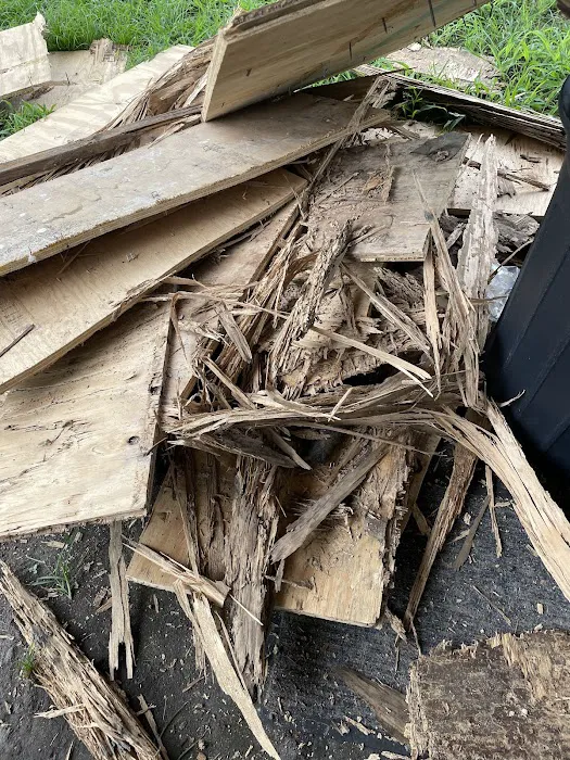 Clegg’s Termite & Pest Control - New Bern Picture 9