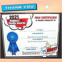 Clegg’s Termite & Pest Control - New Bern ico