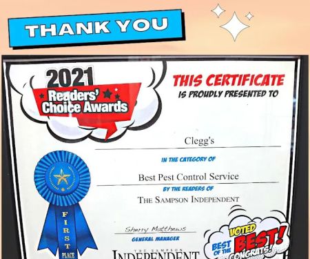 Cleggu2019s Termite & Pest Control - New Bern