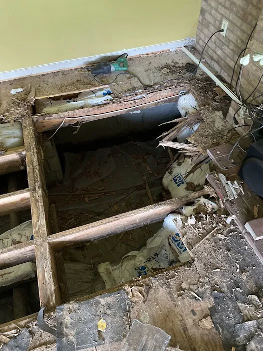 Clegg’s Termite & Pest Control - New Bern Picture 7