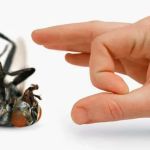 Bug Off Pest Control