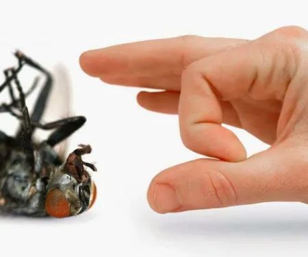 Bug Off Pest Control