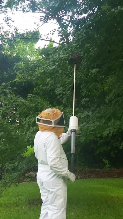 B&T Pest Control, Inc Picture 3