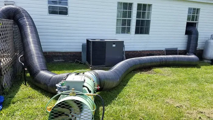 B&T Pest Control, Inc Picture 2