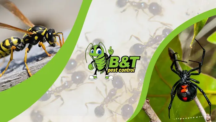 B&T Pest Control, Inc Picture 1