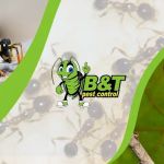 B&T Pest Control, Inc