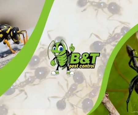 B&T Pest Control, Inc