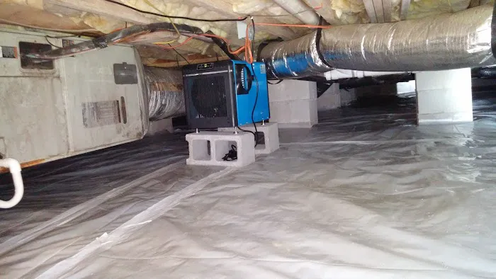 B&T Pest Control, Inc Picture 6