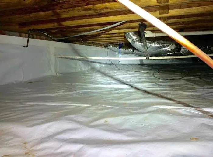 Jones Pest Control Inc. Picture 5