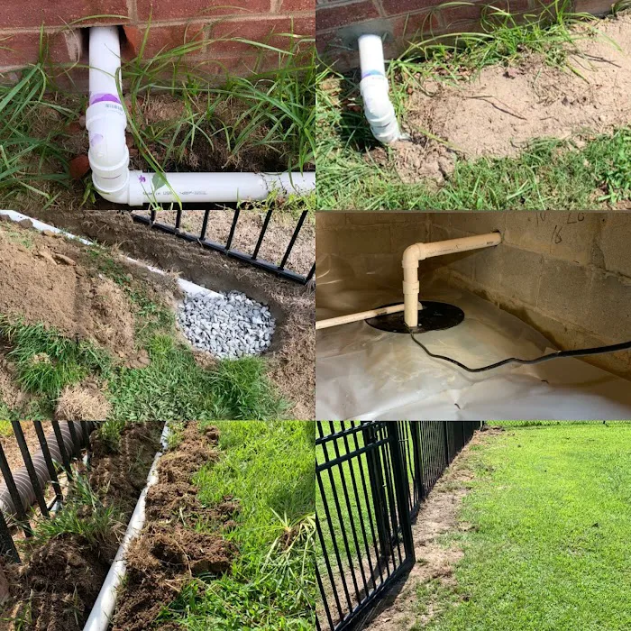 Canady's Termite & Pest Control Picture 5