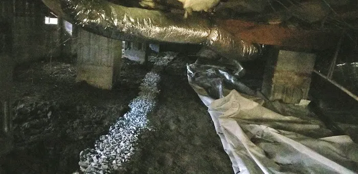 Canady's Termite & Pest Control Picture 7