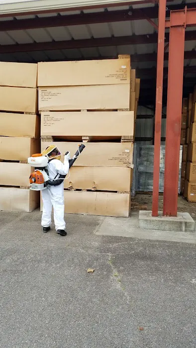 Sure Kill Pest Elimination Picture 6