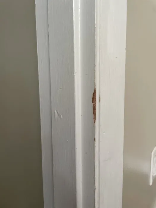 Clegg’s Termite & Pest Control - Fayetteville Picture 7