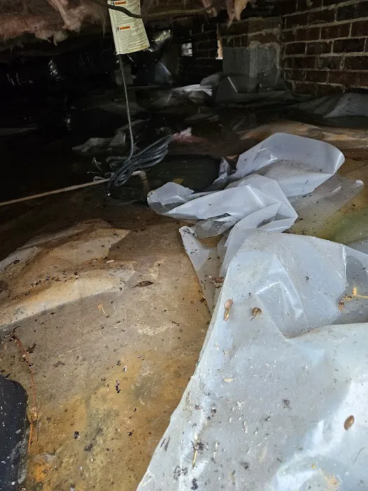 Dodson Pest Control Picture 2