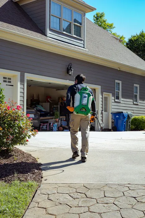 Pest & Termite Consultants Picture 4